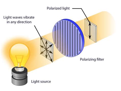 polarized light imaging